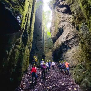 BOSQUES DE PANDORA Y VENTANAS TISQUIZOQUE 2N/3D