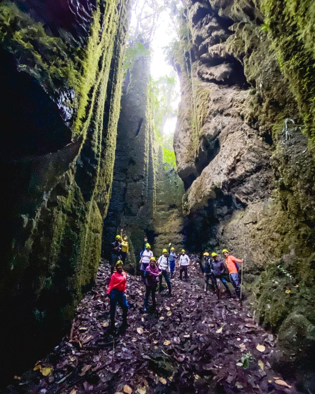 BOSQUES DE PANDORA Y VENTANAS TISQUIZOQUE 2N/3D