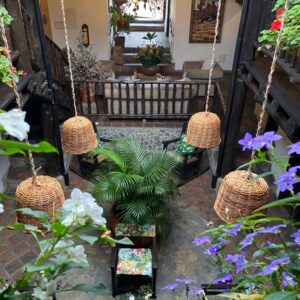 SAN VICENTE DE CHUCURI DESTINO DEL AVITURISMO EN COLOMBIA